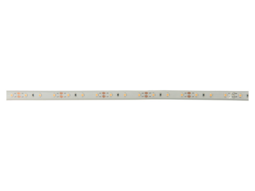 LED Flex warmweiß 3000K, flexibel und ummantelt, 12VDC, 4,8W/m, IP65