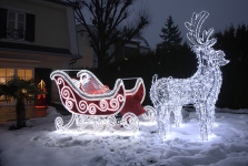 LED 3D-Motiv "Rentier" | Kaltweiß | HxBxT: 190x120x40cm | 230/24V | 86W | 800 LEDs | inkl. Netzteil | IP44 |