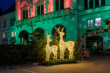 3D-Motiv "Rentier - 2,6m" HxBxT=2600x1450x450mm| Leistung: 112W | Lichtfarbe: warmweiß | 1420 LEDs