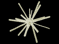 LED-Stern „Lichtschlauch“ – fasziniert durch seine effektvolle Form