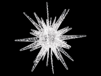 Eisweißer LED-Stern mit Minilämpchen – leuchtet zart durch die Nacht