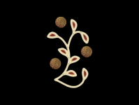 Blätter – strahlen festlich auf Straßen und Plätzen