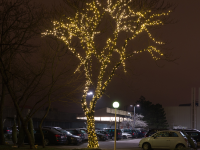 Tree Light LED 24V | 840 LEDs | 67,2W | 3100K | warmweiß | Kabel grün | 2x63m | IP44 |