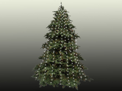 Nadelbaumset, klein - für eine warmweiße Weihnachtsbeleuchtung