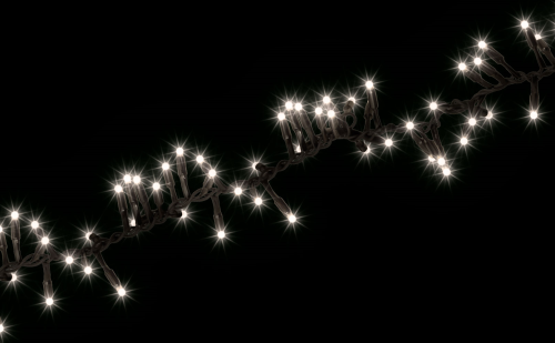 ProSystem Modular LED 230V | Verbindungsstring Cluster 2m | 6,5W | 120 LEDs | warmweiß | schwarz | IP65 |