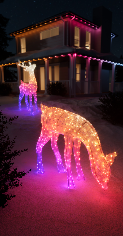 Twinkly Rentier Doe RGB+W 160 | Höhe: 90cm | Anschlußleitung: 2,5m | IP44 | Kabel: transparent | mit APP steuerbar | Bluetooth+WiFi |