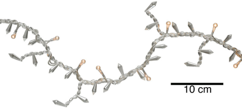 Crystal String 20, klar, 1,55m