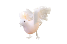 White Palomas, klar, 2,8m weiß