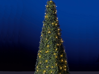 Buchsbaumpyramide - lässt Ihren Garten festlich erstrahlen