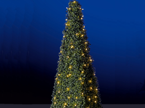 Buchsbaumpyramide - lässt Ihren Garten festlich erstrahlen