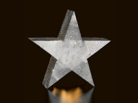 Weihnachtsstern - verzaubert durch zarten Schimmer - 40cm