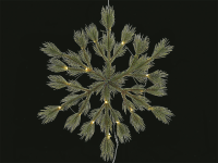 Batterie Schneeflockenhänger grün, Durchmesser: 50cm, 30 LEDs, warmweiß