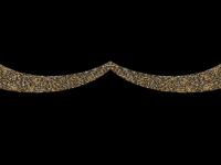 Straßenmotiv ``Sternenhimmel´´ – schmückt Straßen und Plätze