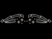 ABVERKAUF: Sternenbanner – strahlt festlich auf Straßen und Plätzen (Glühlampe)