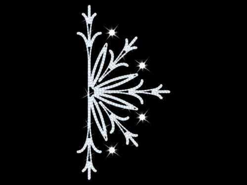 Halbstern – bringt winterlichen Glanz