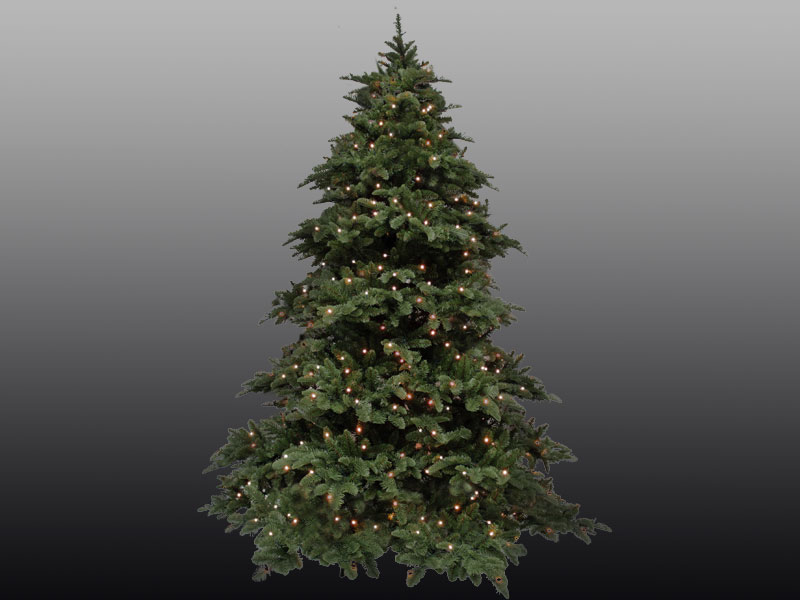 proSYSTEM - Nadelbaumsets